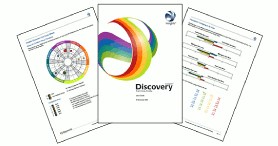 Insights Discovery® Full Circle Profile