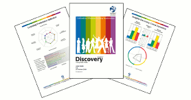 Insights Discovery® Young Adult Profile